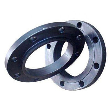 ANSI / DIN gesmeed koolstof / roestvrij staal Pn10 / 16 lasnek / blind / instapper / platte / RF / FF buisflenzen 